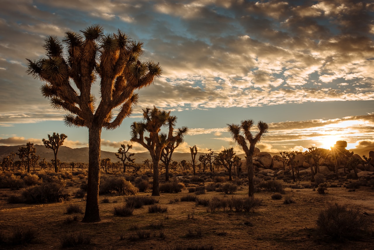 Los Angeles to Las Vegas